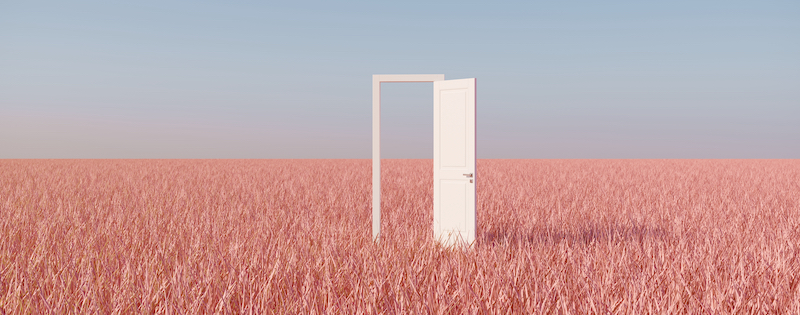 Outstanding,White,Door,Open,On,Pink,Grass,Filed,Landscape,With - 生意轉讓搜尋 Businessly