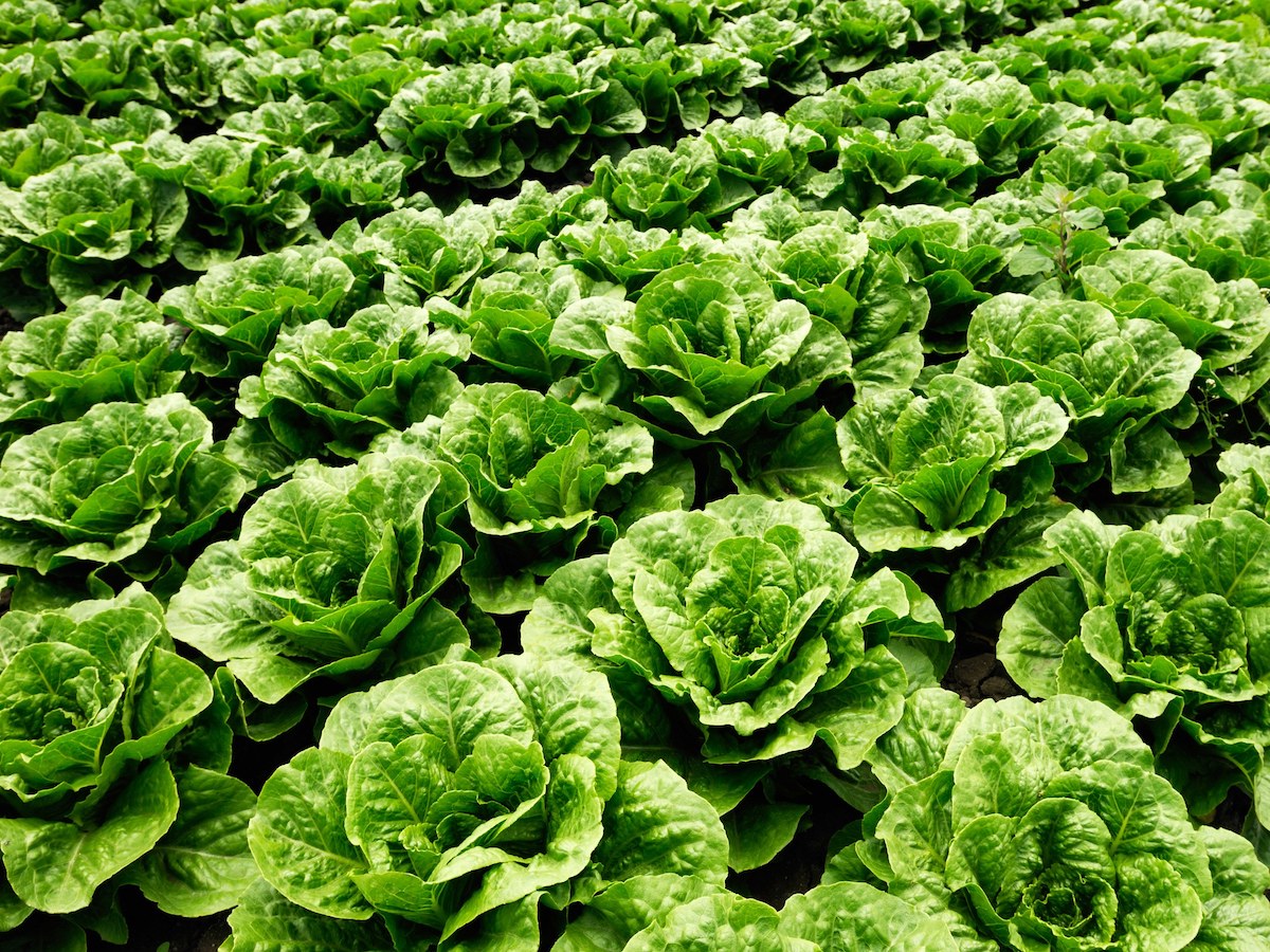 其他服務及牌照生意轉讓純利可達$131,000元朗位於其他恰當租金可轉型成彈性管理時間合適選址控製成本有道生意頂讓特許經營及加盟資料