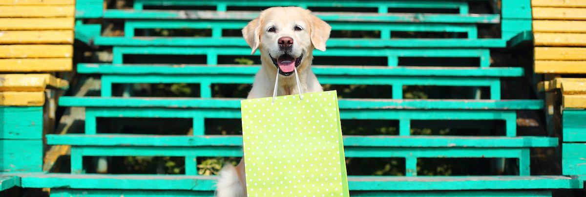 網店生意轉讓利潤約$17,349穩發展網上細心經營經營壓力低節省實體店要求空間節省成本生意頂讓特許經營及加盟資料