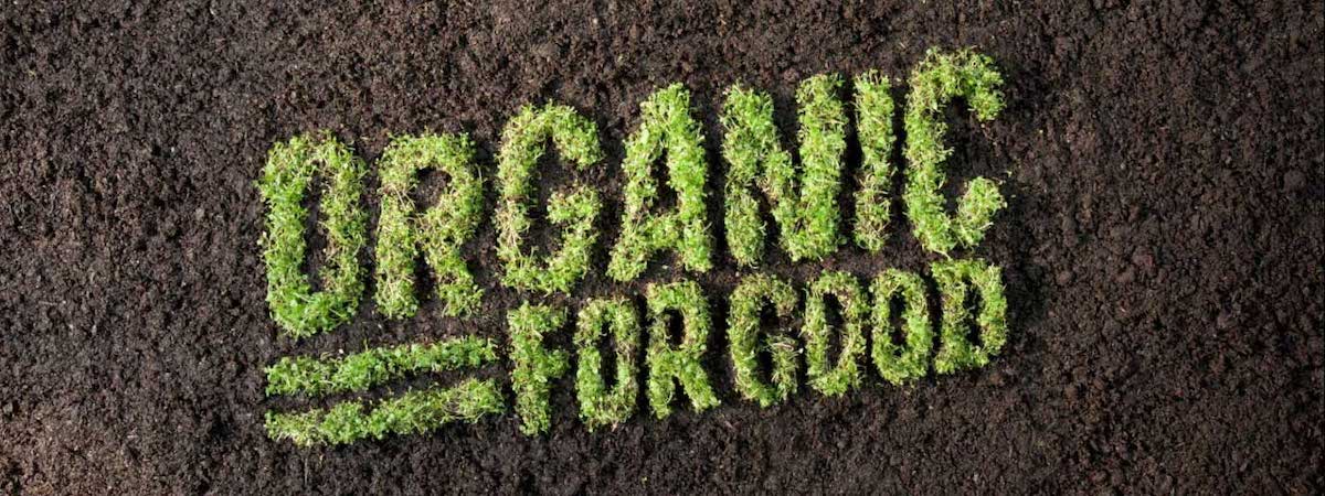 批發貿易資產頂讓觀塘易接受租金可轉型成彈性管理時間格局寬敞有利發揮業務潛能生意資產轉讓特許經營及加盟資料