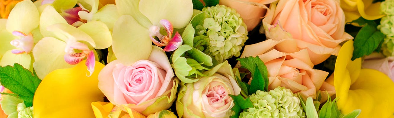 花店生意轉讓純利可達$42,650中上環位於地舖細心經營易接受租金民生剛需環繞生意頂讓特許經營及加盟資料