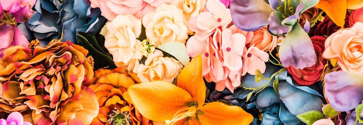 花店資產頂讓網上優良商譽平租金買家獲得簡約營業環境生意資產轉讓特許經營及加盟資料