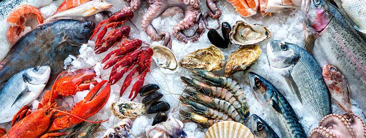 凍肉店生意轉讓純利可達$60,400火炭位於商場舖易接受租金屋苑住宅提供需求可轉型成彈性管理時間生意頂讓特許經營及加盟資料