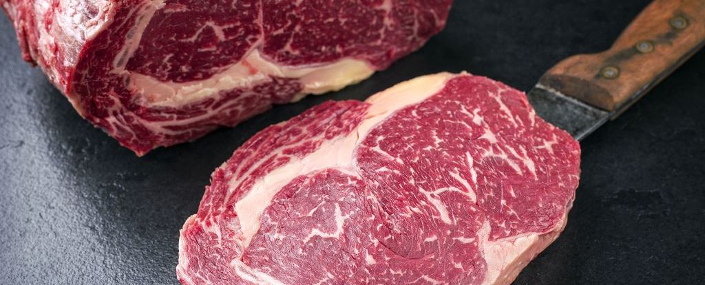 凍肉店生意轉讓利潤約$31,012穩發展大角咀位於工廠大廈已發展可持續生意模式場地裝修簡潔實用頂讓門檻合理生意頂讓特許經營及加盟資料
