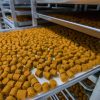 食物工場資產頂讓具食物製造廠牌照火炭明火總投資額約$500,000可沿業務優勢擴張發展合適選址控製成本有道市場需求充足生意資產轉讓 2