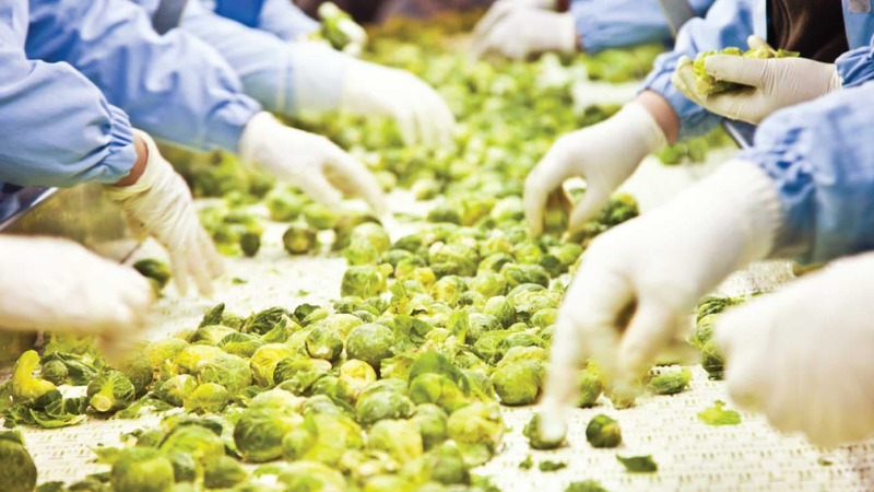 食物工場生意轉讓純利可達$81,800客底約5000屯門位於地舖近民生區合適選址控製成本有道頂讓門檻合理生意頂讓特許經營及加盟資料