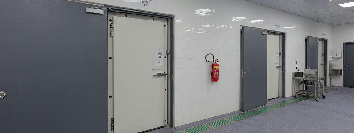 食物工場資產頂讓葵涌總投資額約$500,000細心經營需求核心地段買家獲得簡約營業環境生意資產轉讓特許經營及加盟資料