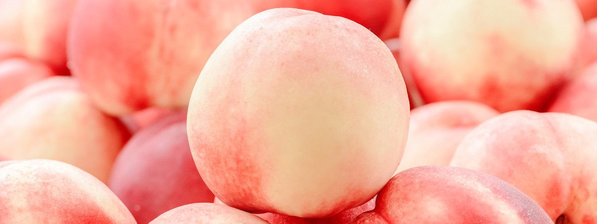 街市檔生意轉讓利潤約$39,212可Autorun觀塘細心經營民生剛需環繞位於街市舖約3個月回本約200呎特許經營及加盟資料