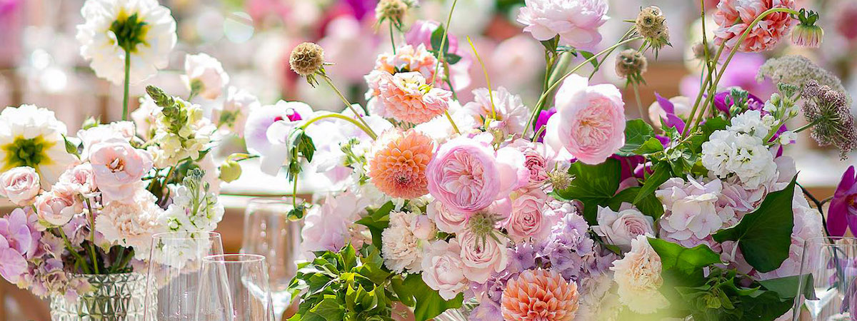 花店生意轉讓利潤約$82,900銅鑼灣細心經營客戶支持度高員工可留任經營約30年老字號退休放盤約850呎位於地舖連閣樓特許經營及加盟資料