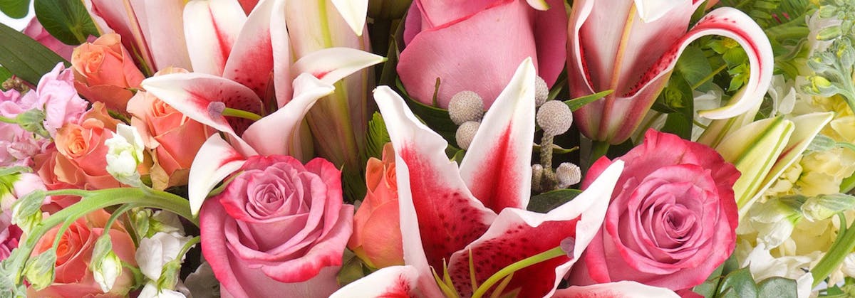 花店生意轉讓利潤約$43,450葵涌租金水平合適財務表現穩定移民放盤約700呎位於地舖連閣樓$10呎租約6個月回本經營約21年老字號特許經營及加盟資料