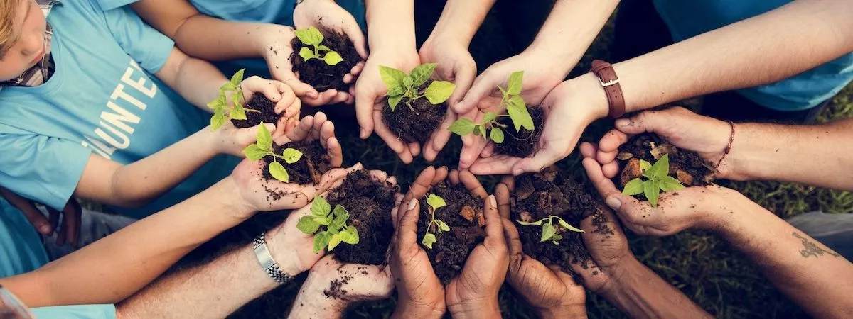 慈善團體機構牌照(88牌)生意轉讓Autorun易接受租金利潤潛力豐厚成立約6年特許經營及加盟資料