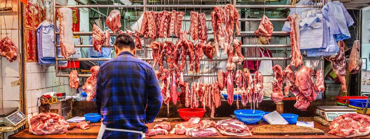 牛肉檔資產頂讓香港大學平租金已發展可持續生意模式具新鮮糧食店牌照約150呎特許經營及加盟資料