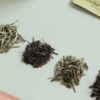 網上花茶店生意轉讓可Autorun網上需求核心地段市場需求充足約200呎成立約9年 1