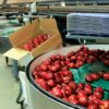 食物工場資產頂讓具食物製造廠牌照屯門總投資額約$300,000細心經營可沿業務優勢擴張發展店舖保養得宜實用開業生意資產轉讓 1