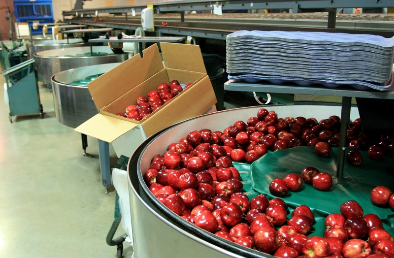 食物工場資產頂讓具食物製造廠牌照屯門總投資額約$300,000細心經營可沿業務優勢擴張發展店舖保養得宜實用開業生意資產轉讓特許經營及加盟資料